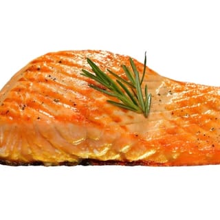Salmon